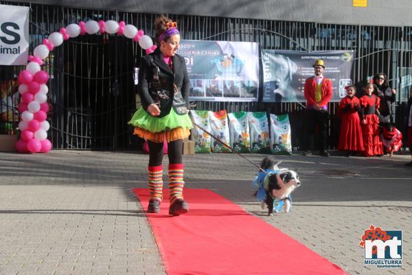 Concurso de mascotas Dejando Huella - Carnaval 2017-Fuente imagen Area Comunicacion Ayuntamiento Miguelturra-005