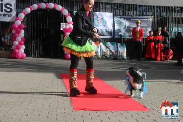 Concurso de mascotas Dejando Huella - Carnaval 2017-Fuente imagen Area Comunicacion Ayuntamiento Miguelturra-006