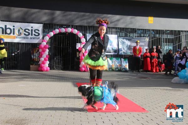 Concurso de mascotas Dejando Huella - Carnaval 2017-Fuente imagen Area Comunicacion Ayuntamiento Miguelturra-007