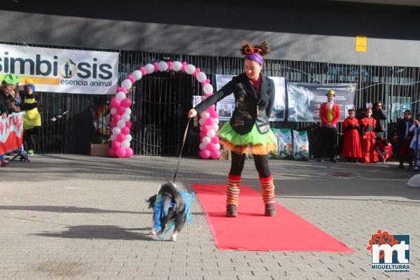 Concurso de mascotas Dejando Huella - Carnaval 2017-Fuente imagen Area Comunicacion Ayuntamiento Miguelturra-008