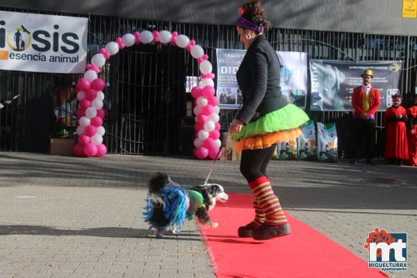 Concurso de mascotas Dejando Huella - Carnaval 2017-Fuente imagen Area Comunicacion Ayuntamiento Miguelturra-009