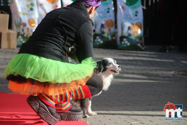 Concurso de mascotas Dejando Huella - Carnaval 2017-Fuente imagen Area Comunicacion Ayuntamiento Miguelturra-011