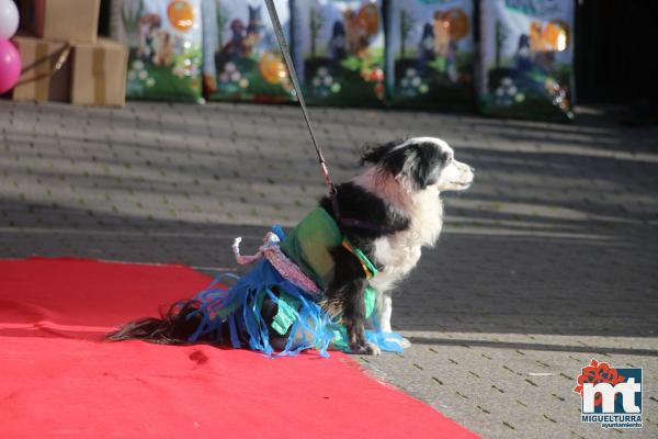 Concurso de mascotas Dejando Huella - Carnaval 2017-Fuente imagen Area Comunicacion Ayuntamiento Miguelturra-012