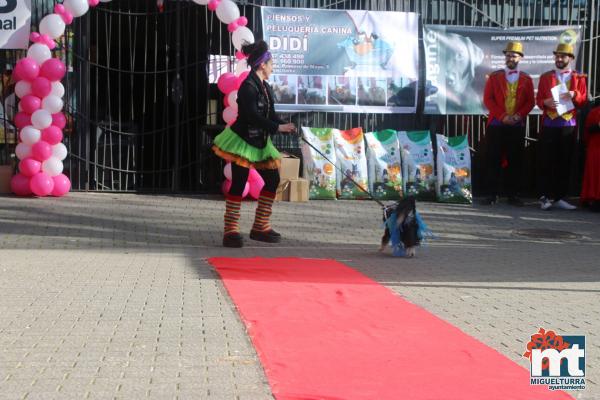 Concurso de mascotas Dejando Huella - Carnaval 2017-Fuente imagen Area Comunicacion Ayuntamiento Miguelturra-013