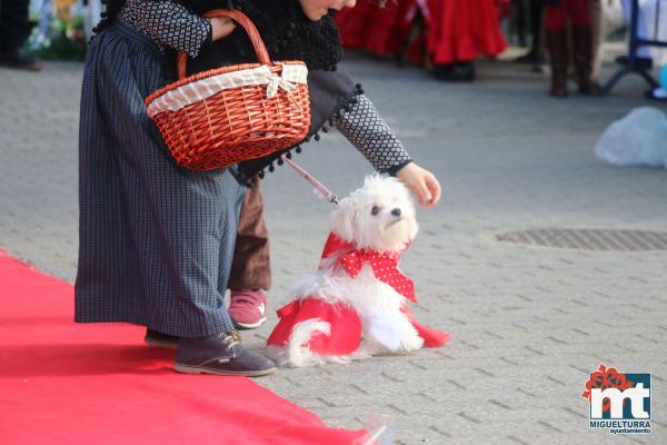 Concurso de mascotas Dejando Huella - Carnaval 2017-Fuente imagen Area Comunicacion Ayuntamiento Miguelturra-026