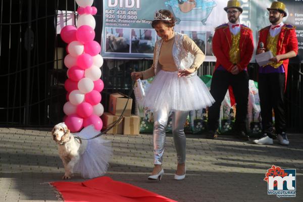 Concurso de mascotas Dejando Huella - Carnaval 2017-Fuente imagen Area Comunicacion Ayuntamiento Miguelturra-033