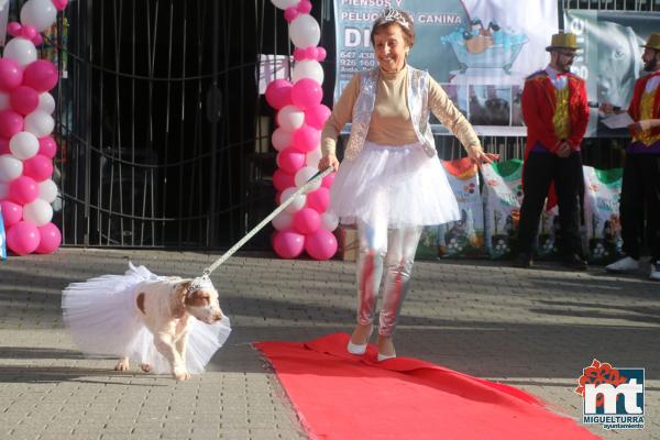 Concurso de mascotas Dejando Huella - Carnaval 2017-Fuente imagen Area Comunicacion Ayuntamiento Miguelturra-034