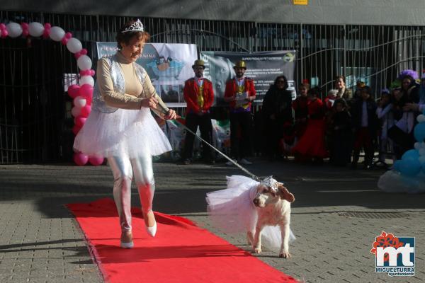 Concurso de mascotas Dejando Huella - Carnaval 2017-Fuente imagen Area Comunicacion Ayuntamiento Miguelturra-036