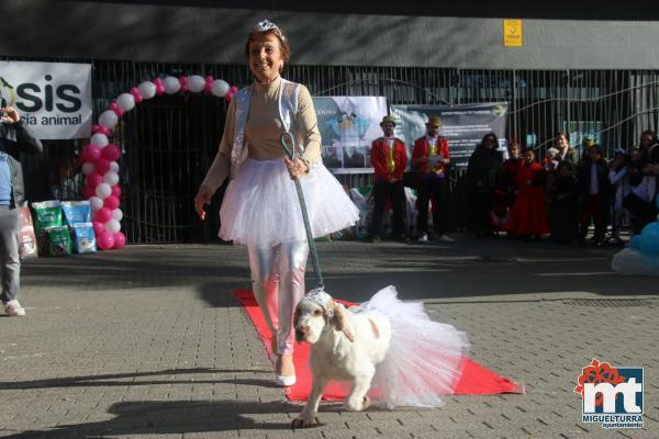 Concurso de mascotas Dejando Huella - Carnaval 2017-Fuente imagen Area Comunicacion Ayuntamiento Miguelturra-037