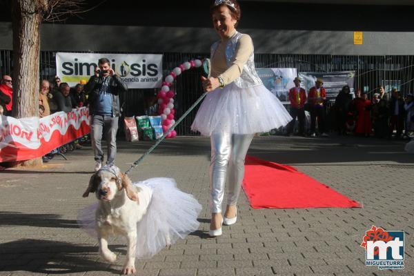 Concurso de mascotas Dejando Huella - Carnaval 2017-Fuente imagen Area Comunicacion Ayuntamiento Miguelturra-038