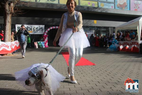 Concurso de mascotas Dejando Huella - Carnaval 2017-Fuente imagen Area Comunicacion Ayuntamiento Miguelturra-039