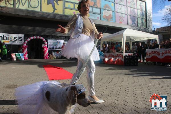 Concurso de mascotas Dejando Huella - Carnaval 2017-Fuente imagen Area Comunicacion Ayuntamiento Miguelturra-040