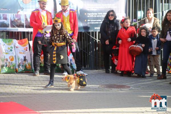 Concurso de mascotas Dejando Huella - Carnaval 2017-Fuente imagen Area Comunicacion Ayuntamiento Miguelturra-045