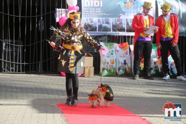 Concurso de mascotas Dejando Huella - Carnaval 2017-Fuente imagen Area Comunicacion Ayuntamiento Miguelturra-046