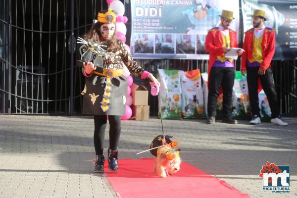 Concurso de mascotas Dejando Huella - Carnaval 2017-Fuente imagen Area Comunicacion Ayuntamiento Miguelturra-047