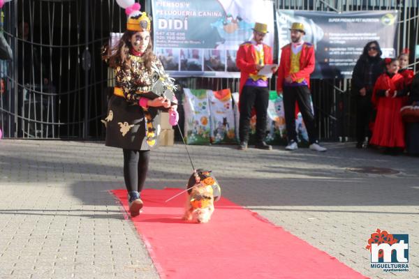 Concurso de mascotas Dejando Huella - Carnaval 2017-Fuente imagen Area Comunicacion Ayuntamiento Miguelturra-048