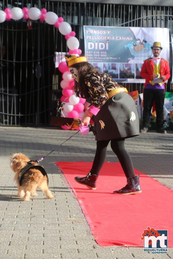 Concurso de mascotas Dejando Huella - Carnaval 2017-Fuente imagen Area Comunicacion Ayuntamiento Miguelturra-053