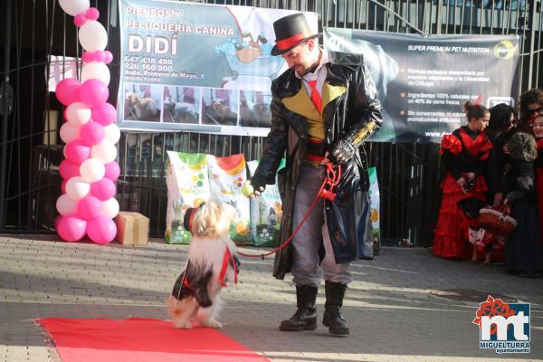 Concurso de mascotas Dejando Huella - Carnaval 2017-Fuente imagen Area Comunicacion Ayuntamiento Miguelturra-054