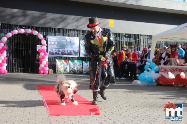 Concurso de mascotas Dejando Huella - Carnaval 2017-Fuente imagen Area Comunicacion Ayuntamiento Miguelturra-055