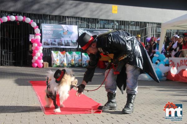 Concurso de mascotas Dejando Huella - Carnaval 2017-Fuente imagen Area Comunicacion Ayuntamiento Miguelturra-057