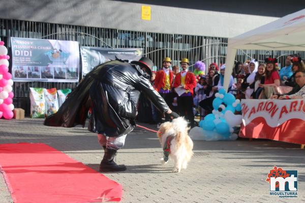 Concurso de mascotas Dejando Huella - Carnaval 2017-Fuente imagen Area Comunicacion Ayuntamiento Miguelturra-058