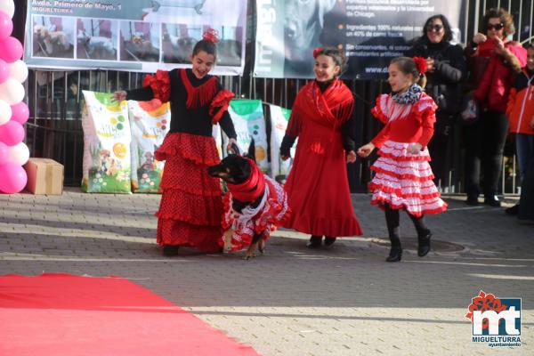 Concurso de mascotas Dejando Huella - Carnaval 2017-Fuente imagen Area Comunicacion Ayuntamiento Miguelturra-059