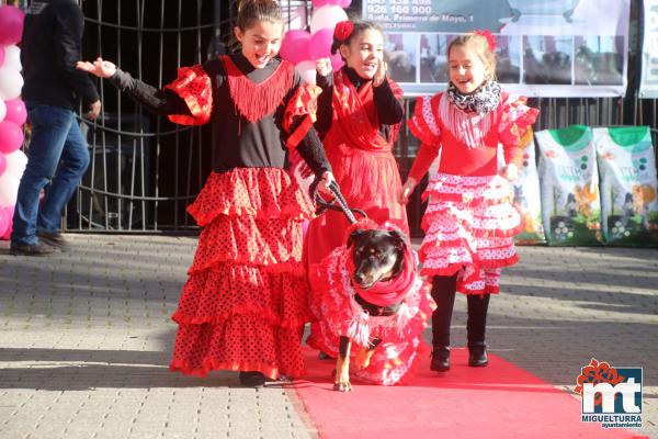 Concurso de mascotas Dejando Huella - Carnaval 2017-Fuente imagen Area Comunicacion Ayuntamiento Miguelturra-060