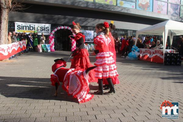 Concurso de mascotas Dejando Huella - Carnaval 2017-Fuente imagen Area Comunicacion Ayuntamiento Miguelturra-065