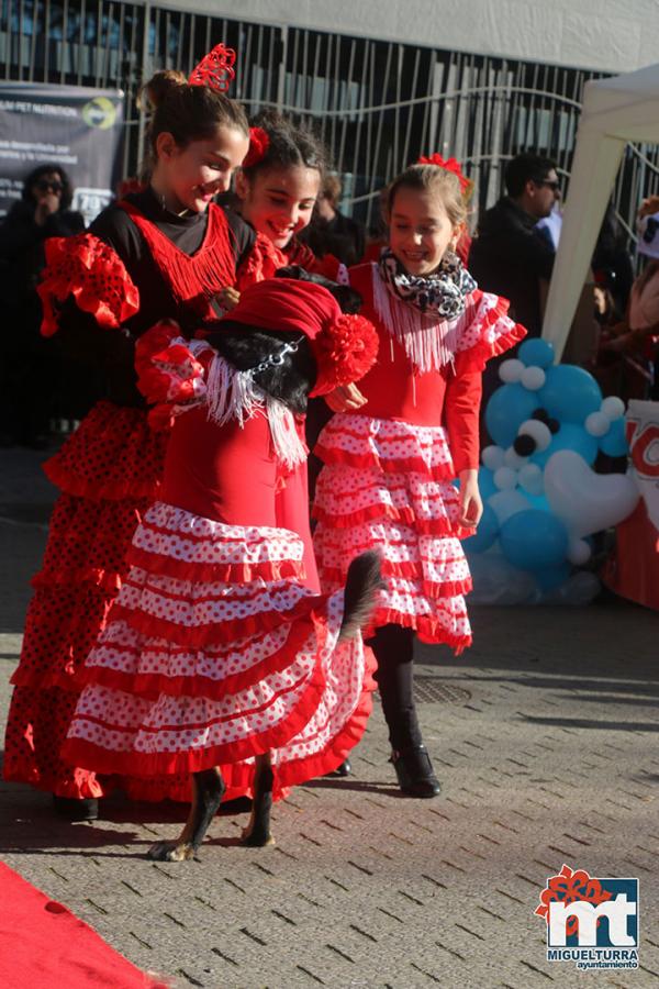 Concurso de mascotas Dejando Huella - Carnaval 2017-Fuente imagen Area Comunicacion Ayuntamiento Miguelturra-067