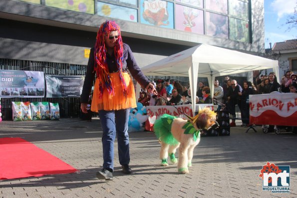 Concurso de mascotas Dejando Huella - Carnaval 2017-Fuente imagen Area Comunicacion Ayuntamiento Miguelturra-073