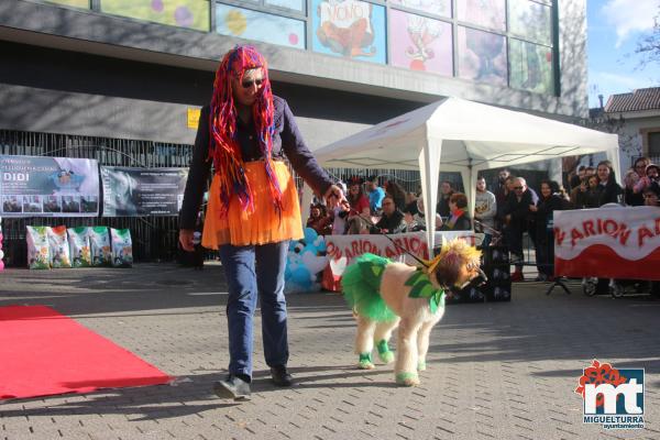 Concurso de mascotas Dejando Huella - Carnaval 2017-Fuente imagen Area Comunicacion Ayuntamiento Miguelturra-073