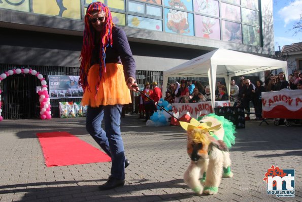 Concurso de mascotas Dejando Huella - Carnaval 2017-Fuente imagen Area Comunicacion Ayuntamiento Miguelturra-074