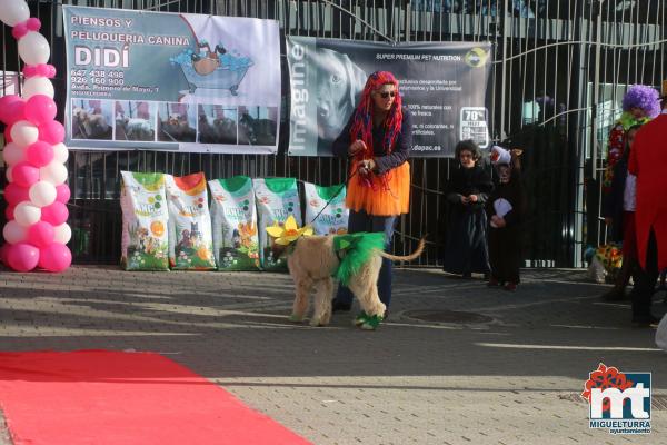 Concurso de mascotas Dejando Huella - Carnaval 2017-Fuente imagen Area Comunicacion Ayuntamiento Miguelturra-076