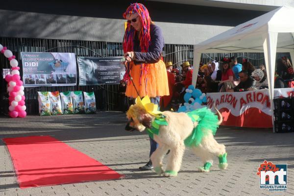 Concurso de mascotas Dejando Huella - Carnaval 2017-Fuente imagen Area Comunicacion Ayuntamiento Miguelturra-078