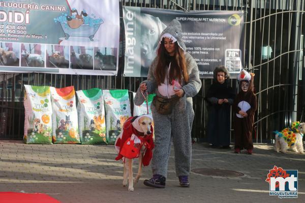 Concurso de mascotas Dejando Huella - Carnaval 2017-Fuente imagen Area Comunicacion Ayuntamiento Miguelturra-079