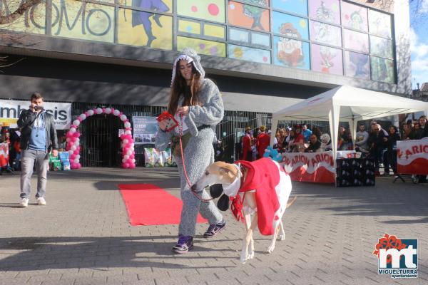 Concurso de mascotas Dejando Huella - Carnaval 2017-Fuente imagen Area Comunicacion Ayuntamiento Miguelturra-081