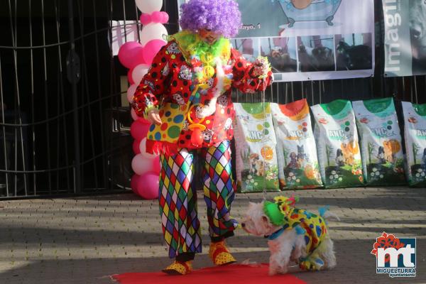 Concurso de mascotas Dejando Huella - Carnaval 2017-Fuente imagen Area Comunicacion Ayuntamiento Miguelturra-082