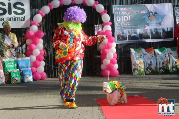 Concurso de mascotas Dejando Huella - Carnaval 2017-Fuente imagen Area Comunicacion Ayuntamiento Miguelturra-083
