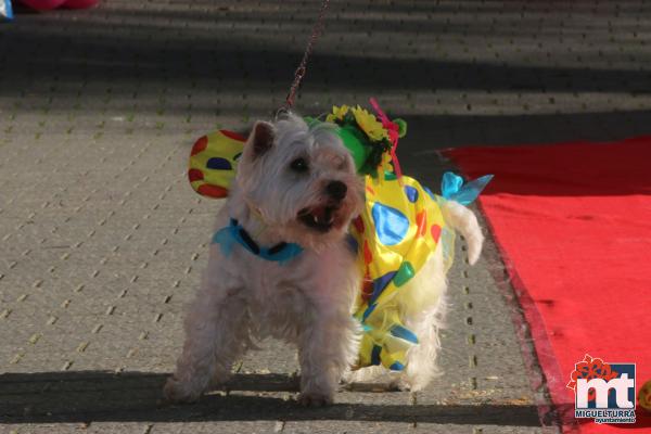 Concurso de mascotas Dejando Huella - Carnaval 2017-Fuente imagen Area Comunicacion Ayuntamiento Miguelturra-084