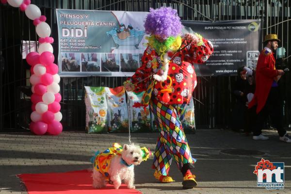 Concurso de mascotas Dejando Huella - Carnaval 2017-Fuente imagen Area Comunicacion Ayuntamiento Miguelturra-085