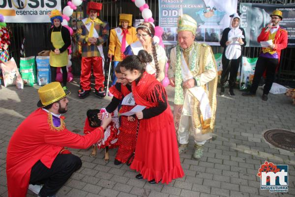 Concurso de mascotas Dejando Huella - Carnaval 2017-Fuente imagen Area Comunicacion Ayuntamiento Miguelturra-120