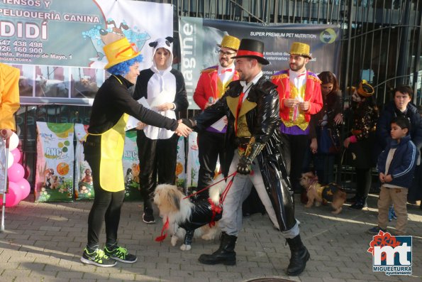 Concurso de mascotas Dejando Huella - Carnaval 2017-Fuente imagen Area Comunicacion Ayuntamiento Miguelturra-123