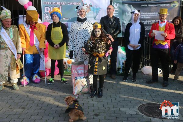 Concurso de mascotas Dejando Huella - Carnaval 2017-Fuente imagen Area Comunicacion Ayuntamiento Miguelturra-129