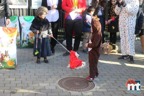 Concurso de mascotas Dejando Huella - Carnaval 2017-Fuente imagen Area Comunicacion Ayuntamiento Miguelturra-131