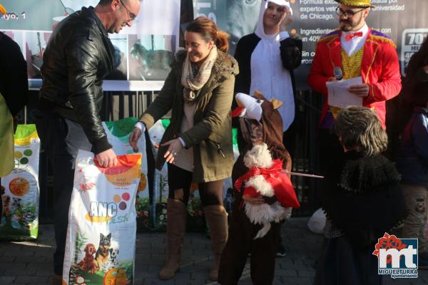 Concurso de mascotas Dejando Huella - Carnaval 2017-Fuente imagen Area Comunicacion Ayuntamiento Miguelturra-136