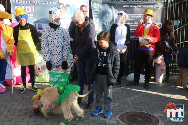 Concurso de mascotas Dejando Huella - Carnaval 2017-Fuente imagen Area Comunicacion Ayuntamiento Miguelturra-140