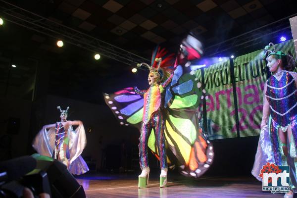 Concurso Trajes del Carnaval 2017-Fuente imagen Area Comunicacion Ayuntamiento Miguelturra-011