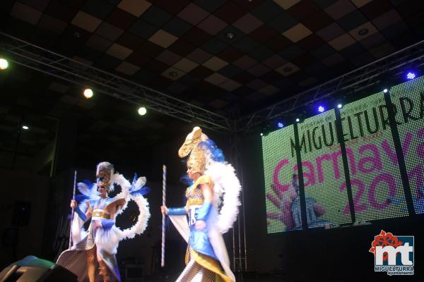 Concurso Trajes del Carnaval 2017-Fuente imagen Area Comunicacion Ayuntamiento Miguelturra-055
