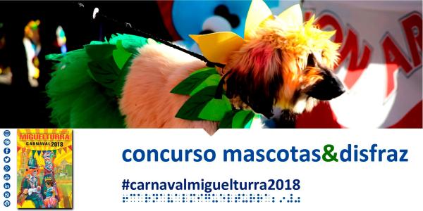 slides-videopromocioncarnaval2018miguelturra-fuenteimagenesareacomunicacionmunicipal-047