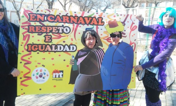 en Carnaval 2018 respeto e igualdad-fuente imagenes area de Igualdad Ayuntamiento-061